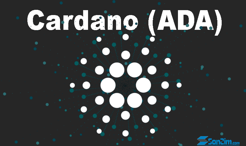 Cardano là gì? Tìm hiểu về đồng tiền điện tử Cardano (ADA)